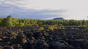 土壤修復與治理