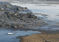 含油污泥處理難,原因何在?